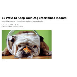 AARP.org: "12 Ways to Keep Your Dog Entertained Indoors"